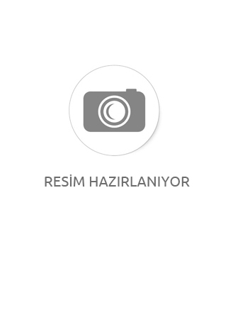 Sumak Ekşisi 250 ml