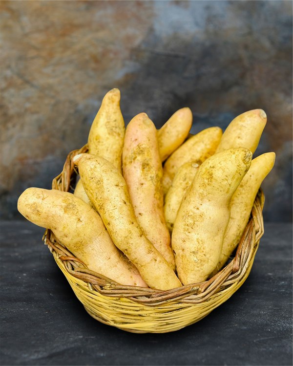 Tatlı Patates ( 1 kg )